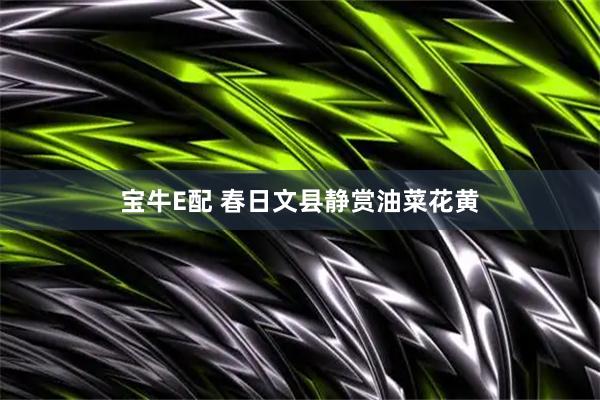 宝牛E配 春日文县静赏油菜花黄