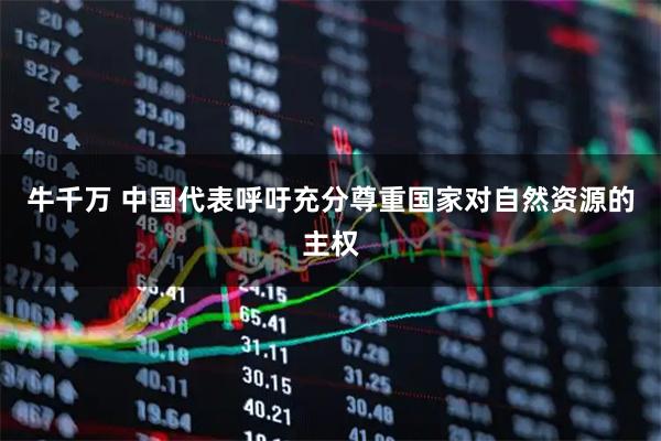 牛千万 中国代表呼吁充分尊重国家对自然资源的主权