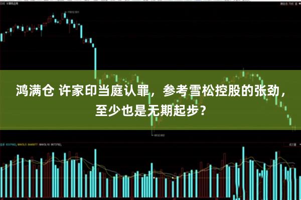 鸿满仓 许家印当庭认罪，参考雪松控股的张劲，至少也是无期起步？