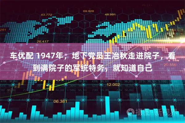 车优配 1947年，地下党员王冶秋走进院子，看到满院子的军统特务，就知道自己