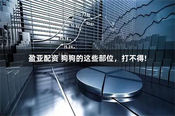 盈亚配资 狗狗的这些部位，打不得!