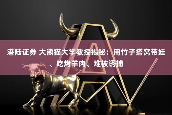 港陆证券 大熊猫大学教授揭秘：用竹子搭窝带娃、吃烤羊肉、难被诱捕
