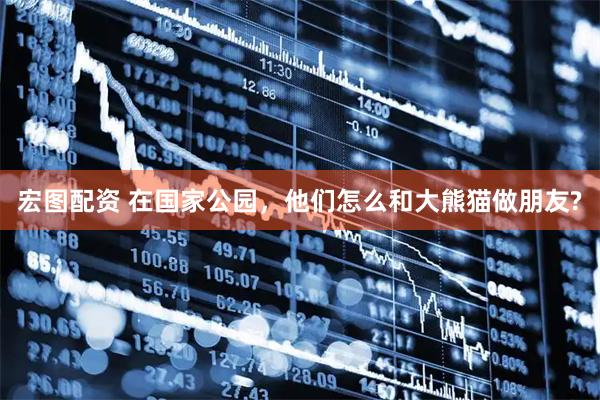 宏图配资 在国家公园，他们怎么和大熊猫做朋友?